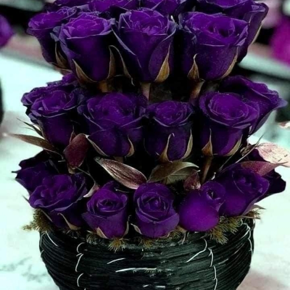 Meet your Posher, Michele - Picture 2 of 2